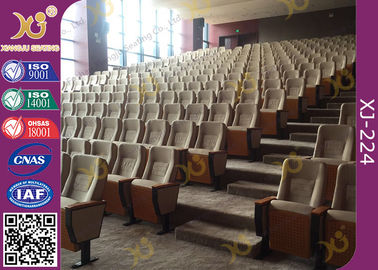 China Damper Soft Closed Noise Free Auditorium Chairs Auditorium Furniture For School supplier